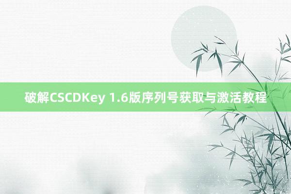 破解CSCDKey 1.6版序列号获取与激活教程